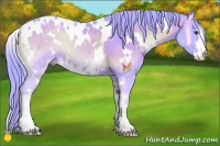 Horse Color:Watercolor White Spotted Red Onyx Sabino 