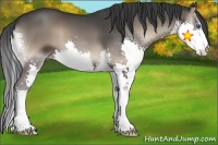 Horse Color:Blue Onyx Splash 