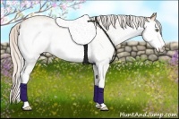 Horse Color:White Spotted Silver Classic Champagne Roan