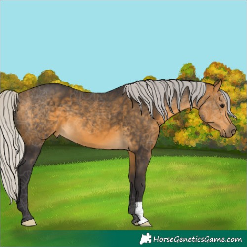 Horse Color:Silver Buckskin