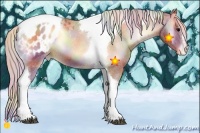 Horse Color:Nacre Silver Bay Onyx Sabino Tobiano Appaloosa 