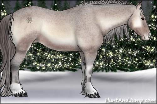 Horse Color:Bay Onyx Appaloosa 