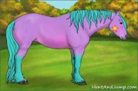 Horse Color:Watercolor Bay 