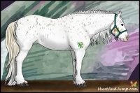 Horse Color:White Spotted Smoky Grullo Tobiano Blanket