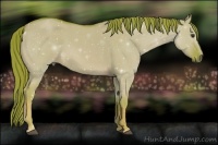 Horse Color:Watercolor Red Dun Roan
