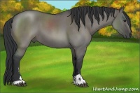 Horse Color:Grullo Roan Sabino