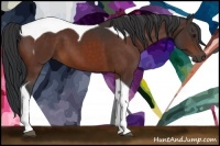 Horse Color:Bay Tobiano 