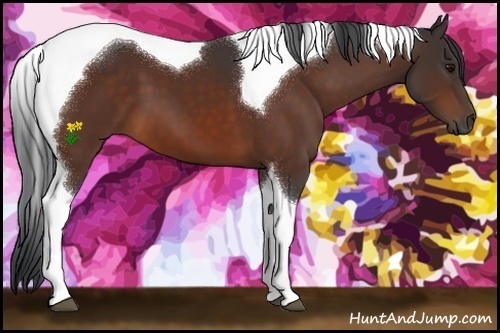 Horse Color:Bay Tobiano 