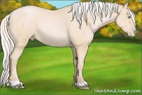 Horse Color:Silver Buckskin Pearl 