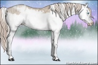 Horse Color:White Spotted Chocolate Palomino Ice Pearl Splash 