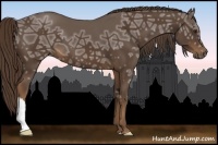 Horse Color:Liver Chestnut Ice 