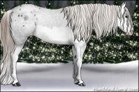 Horse Color:Smoky Black Ice Splash Appaloosa
