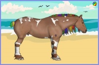 Horse Color:Painted Red Roan Tobiano 