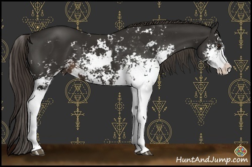Horse Color:Liver Chestnut Sabino 
