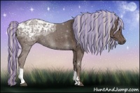 Horse Color:Painted Silver Black Ice 