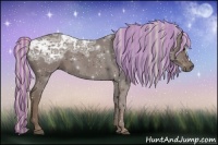 Horse Color:Painted Silver Black Ice 