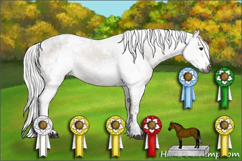 Horse Color:Gray White Spotted Silver Brown