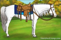 Horse Color:White Spotted Black Appaloosa Rabicano 