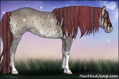 Horse Color:Painted Buckskin Ice Onyx 