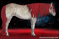 Horse Color:Painted Buckskin Ice Onyx 