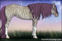 Horse Color:Painted Amber Cream Champagne Ice Onyx