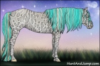 Horse Color:Painted Perlino Ice Onyx 