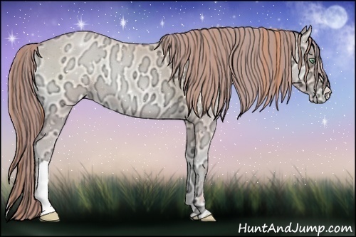 Horse Color:Painted Buckskin Ice Roan Pearl Onyx 