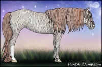 Horse Color:Painted Buckskin Ice Roan Pearl Onyx 
