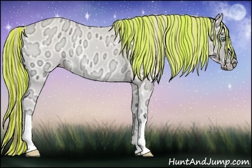 Horse Color:Painted Perlino Ice Onyx 