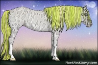 Horse Color:Painted Perlino Ice Onyx