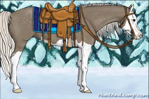 Horse Color:Silver Smoky Black Splash 