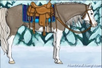 Horse Color:Silver Smoky Black Splash