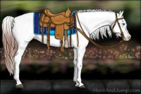 Horse Color:Blue Roan Splash Appaloosa 