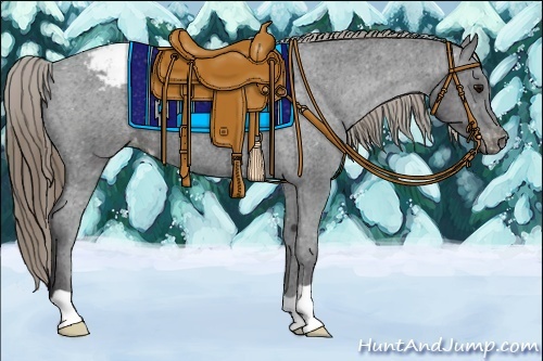 Horse Color:Smoky Black Appaloosa 