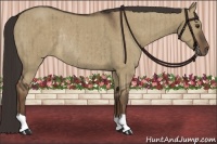 Horse Color:Liver Red Dun Rabicano Brindle