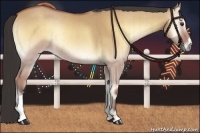 Horse Color:Buckskin Onyx Rabicano Brindle