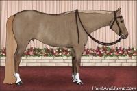 Horse Color:Liver Red Dun Rabicano Brindle