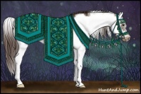 Horse Color:Liver Chestnut Sabino Splash Frame 