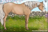 Horse Color:Silver Bay Pearl Splash Frame 