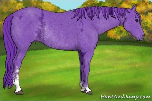 Horse Color:Watercolor Black Chinchilla Ice Sabino Rabicano
