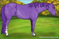 Horse Color:Watercolor Black Chinchilla Ice Sabino Rabicano