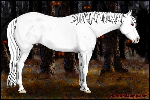 Horse Color:Amber Champagne Chinchilla Dun Splash Tobiano Appaloosa Rabicano 