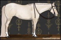 Horse Color:Chocolate Palomino Pearl Dun