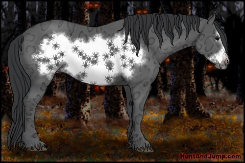 Horse Color:Black Ice Frame 