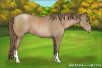 Horse Color:Black Pearl 