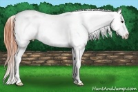 Horse Color:Bay Splash Frame Varnish