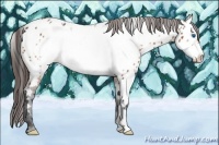 Horse Color:Brown Frame Near Leopard 