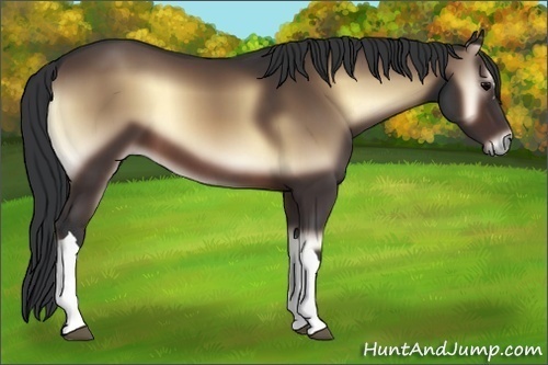 Horse Color:Brown Onyx