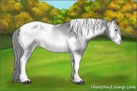 Horse Color:Brown Chinchilla Onyx Tobiano Frame Varnish
