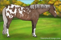 Horse Color:Silver Brown Blanket 